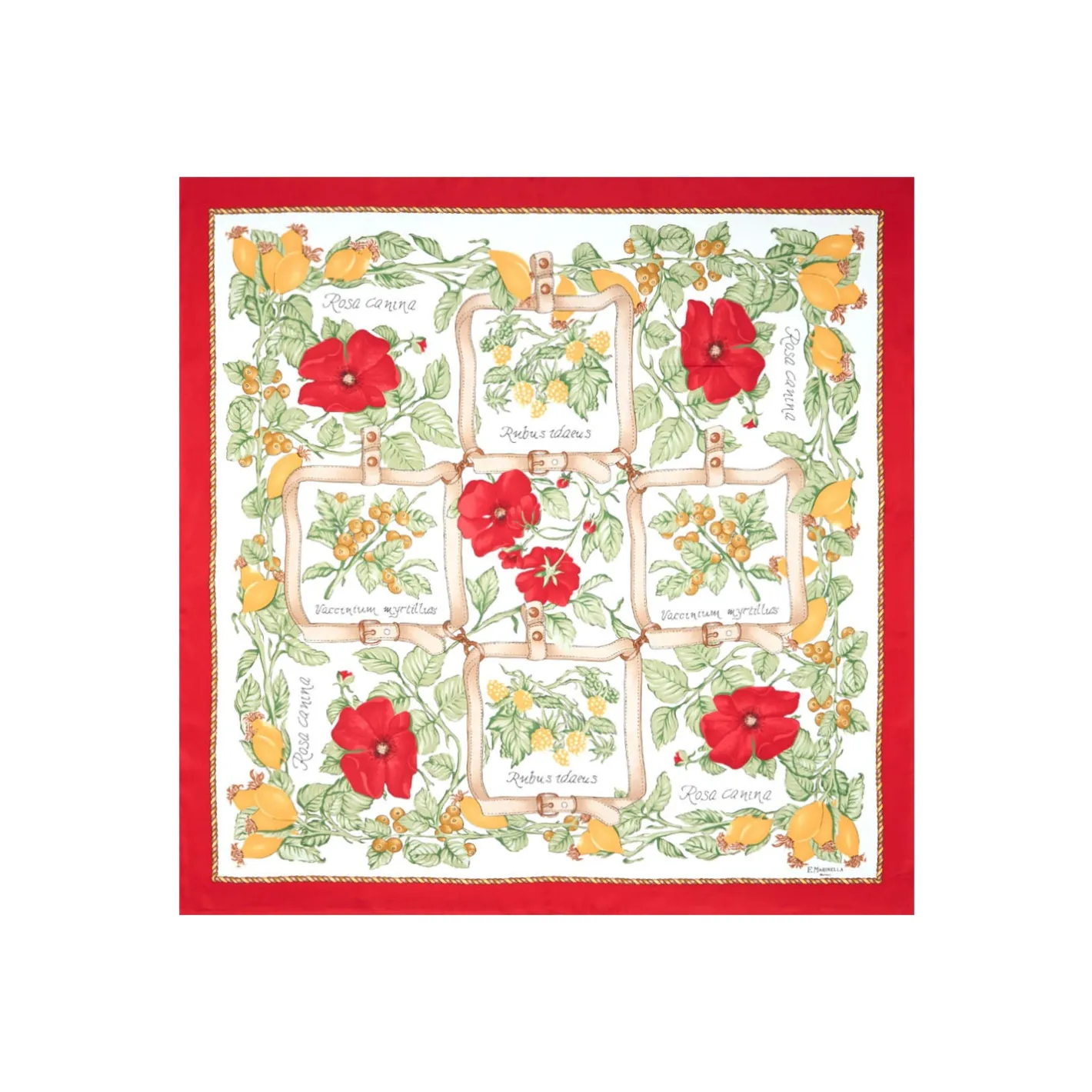 E.Marinella FOULARD IN SETA 90 ROSSO La rosa canina Best